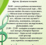 Программа фестиваля «Шедевры классической музыки» - Администрация Мишкинского района
