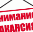 Вакансия!. - Мишкинский муниципальный округ
