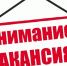 На работу в Отдел социальной политики, культуры и спорта Администрации Мишкинского муниципального округа требуется работник. - Мишкинский муниципальный округ