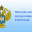 Информация от Росстата. - Мишкинский муниципальный округ